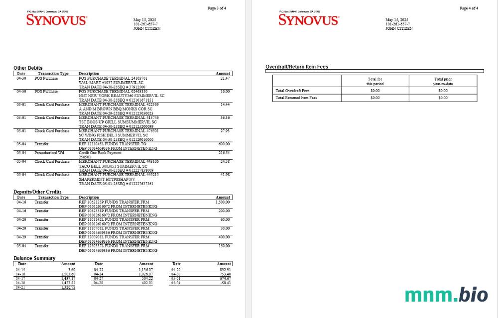 USA Synovus Bank statement szablon Worda i PDF, 3 stronas